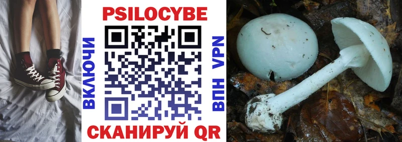 Псилоцибиновые грибы прущие грибы  наркота  Жуковский 