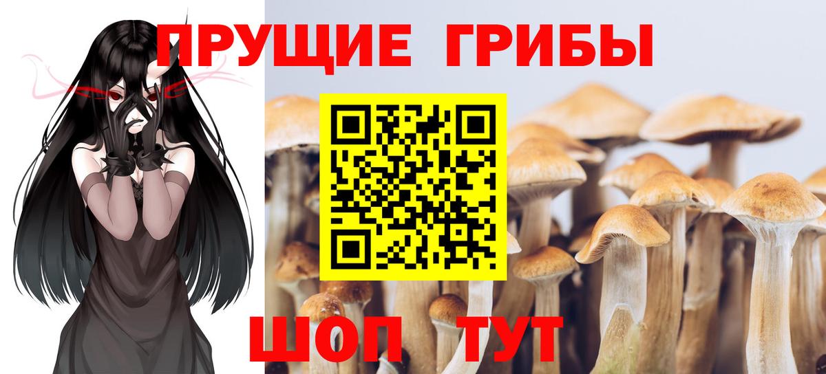 Псилоцибиновые грибы прущие грибы Жуковский