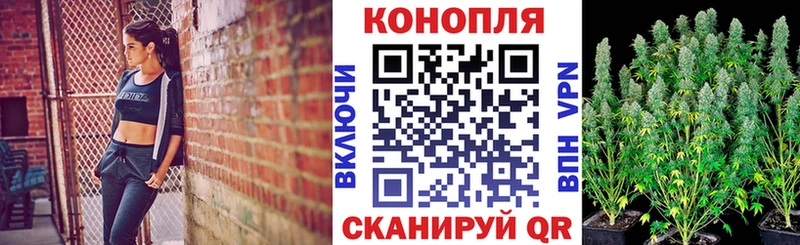 наркота Жуковский Шишки марихуана тримм